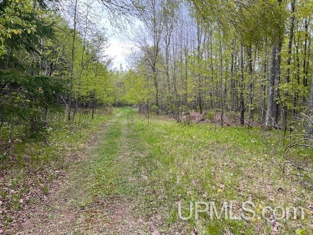 1.77ACRES Maple Ave, Goodman T-Wi, WI 54125