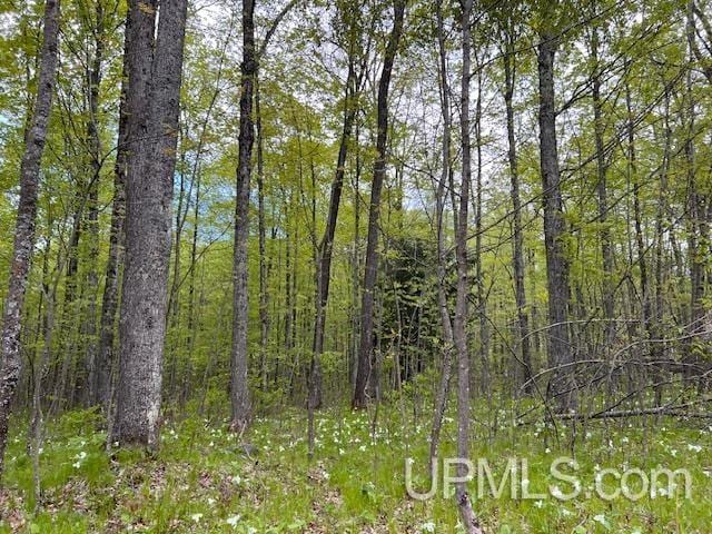 1.77ACRES Maple Ave, Goodman T-Wi, WI 54125