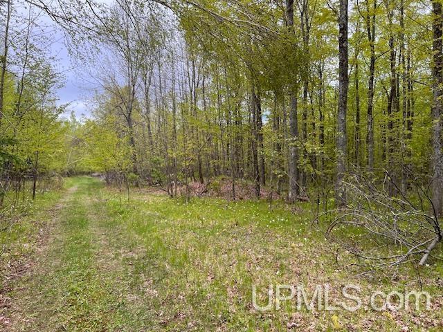 1.77ACRES Maple Ave, Goodman T-Wi, WI 54125
