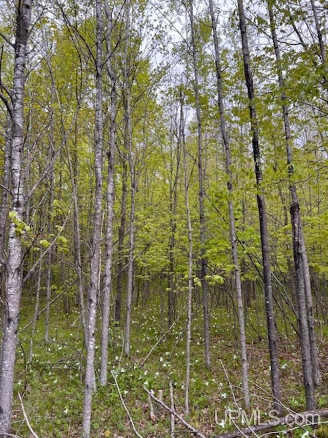 1.77ACRES Maple Ave, Goodman T-Wi, WI 54125