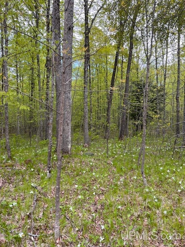 1.77ACRES Maple Ave, Goodman T-Wi, WI 54125