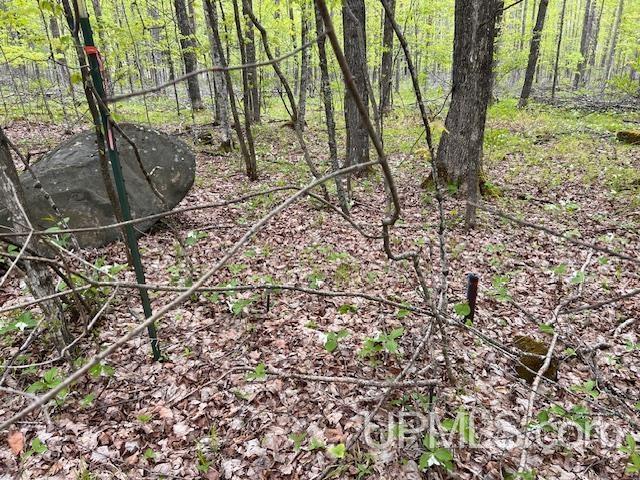 1.77ACRES Maple Ave, Goodman T-Wi, WI 54125
