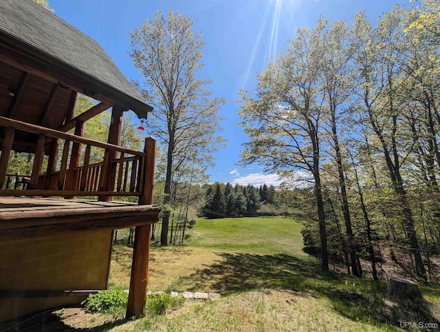 4537 Ii Rd, Garden, MI 49835 - view of green lawn