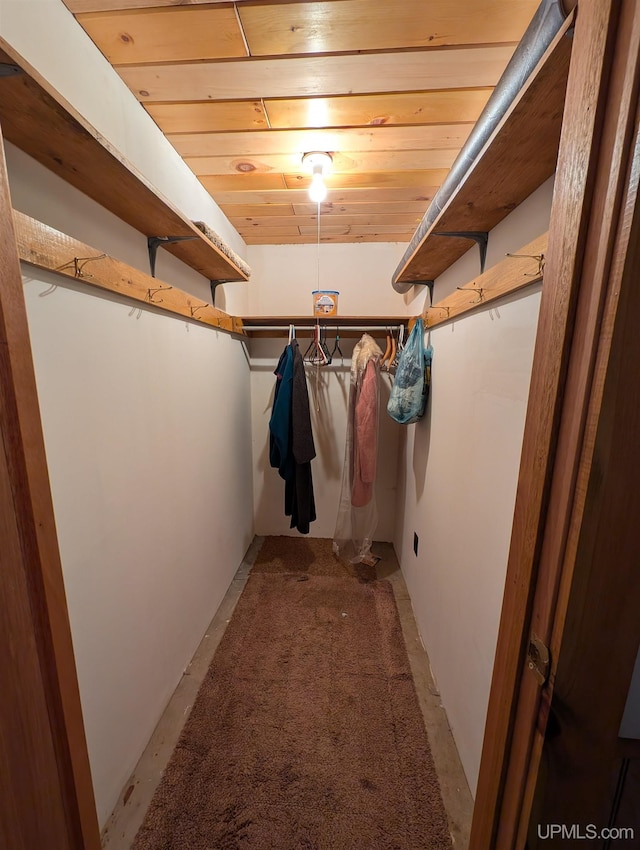 4537 Ii Rd, Garden, MI 49835 - view of walk in closet