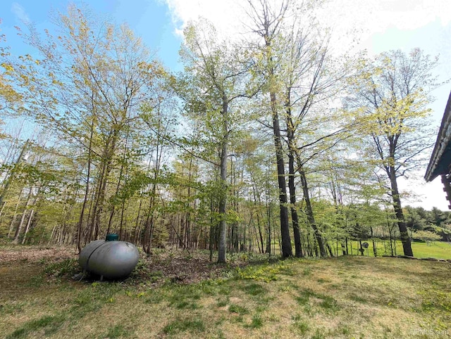 4537 Ii Rd, Garden, MI 49835 - view of yard featuring a forest view