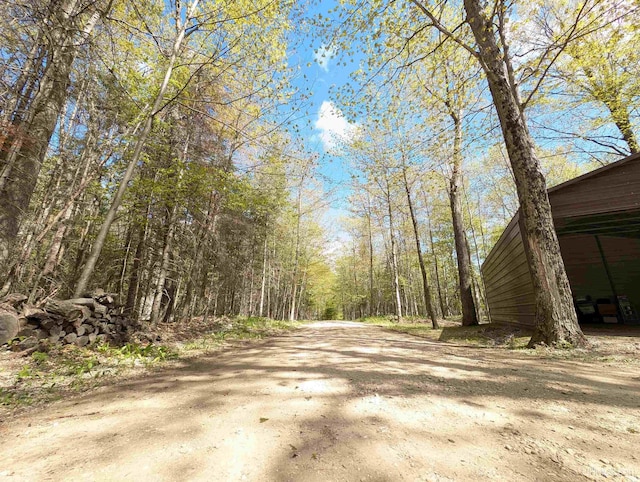 4537 Ii Rd, Garden, MI 49835 - view of dirt / gravel road with a wooded view