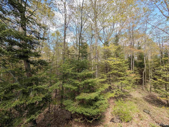 4537 Ii Rd, Garden, MI 49835 - view of tree filled area