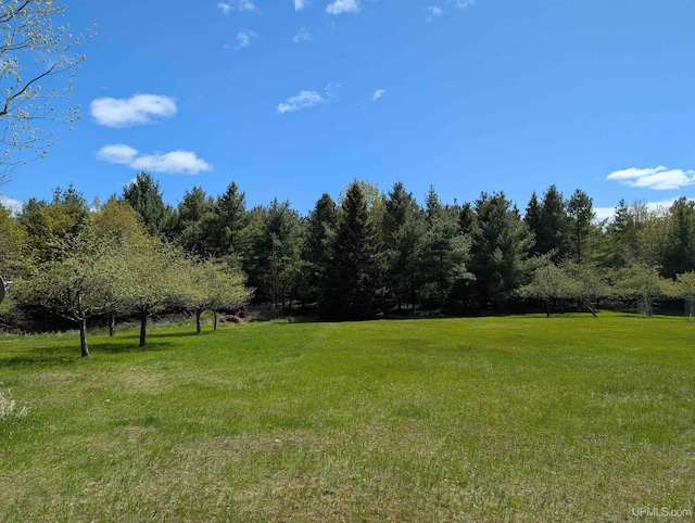 4537 Ii Rd, Garden, MI 49835 - view of green lawn