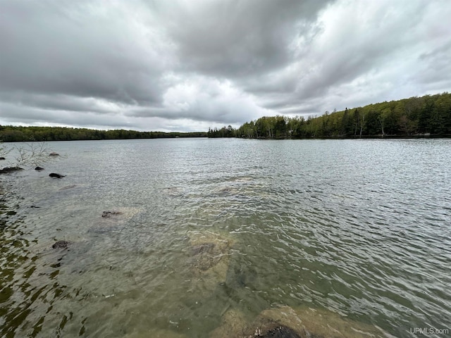 2966 Sycamore Ln, Republic, MI 49879 - water view