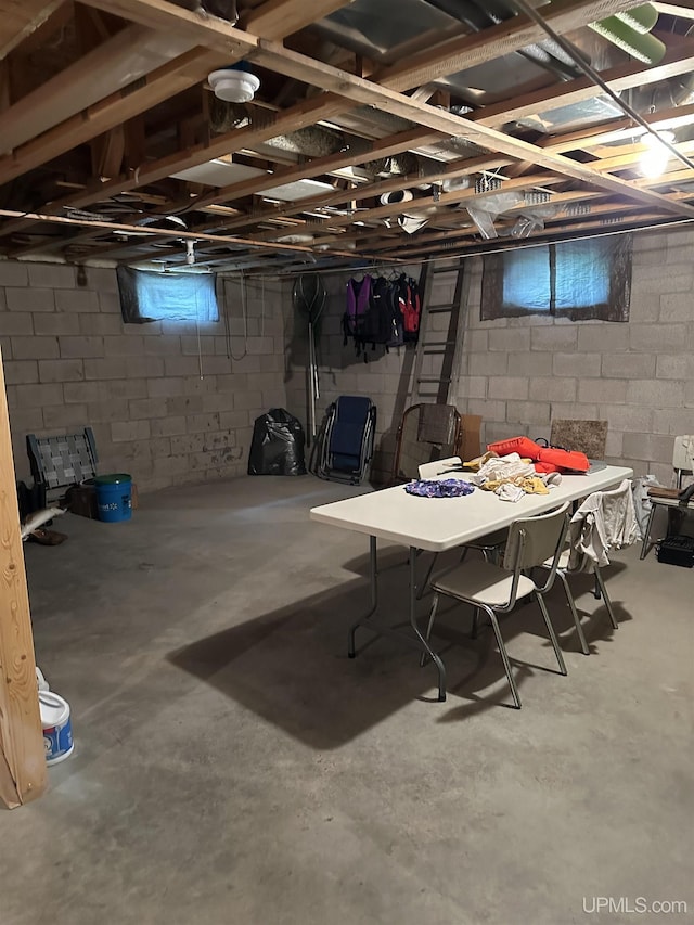 2966 Sycamore Ln, Republic, MI 49879 - view of basement