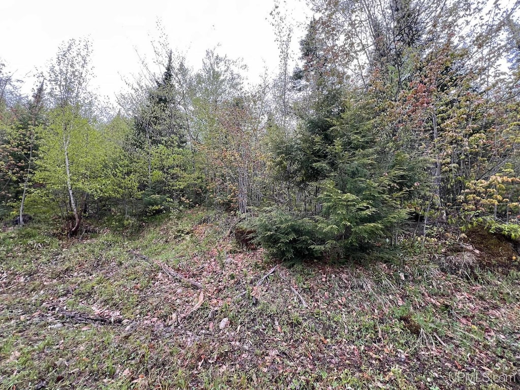 TBD Harborview Dr, Munising, MI 49862