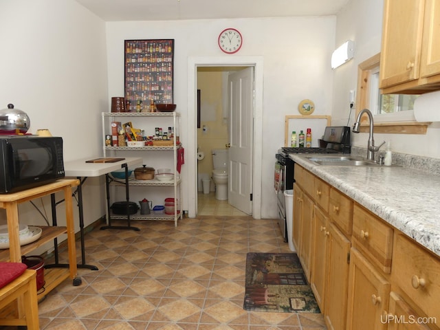22019 E Everett Ave, Grand Marais, MI 49839 - kitchen featuring black microwave, a sink, light countertops, and stove