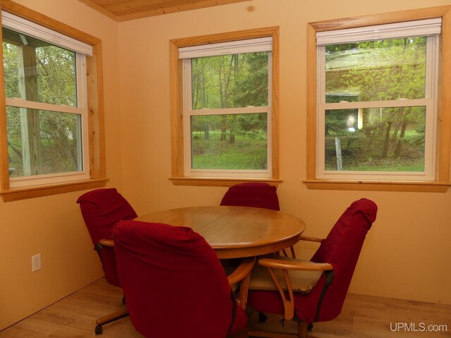 22019 E Everett Ave, Grand Marais, MI 49839 - dining space with wood finished floors