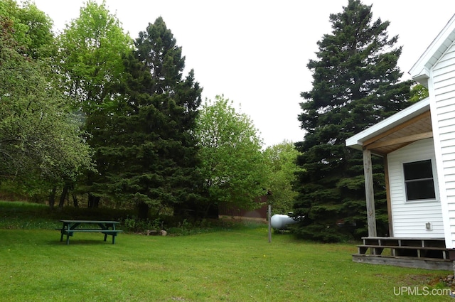 22019 E Everett Ave, Grand Marais, MI 49839 - view of grassy yard