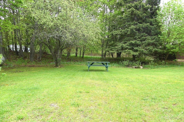 22019 E Everett Ave, Grand Marais, MI 49839 - view of grassy yard
