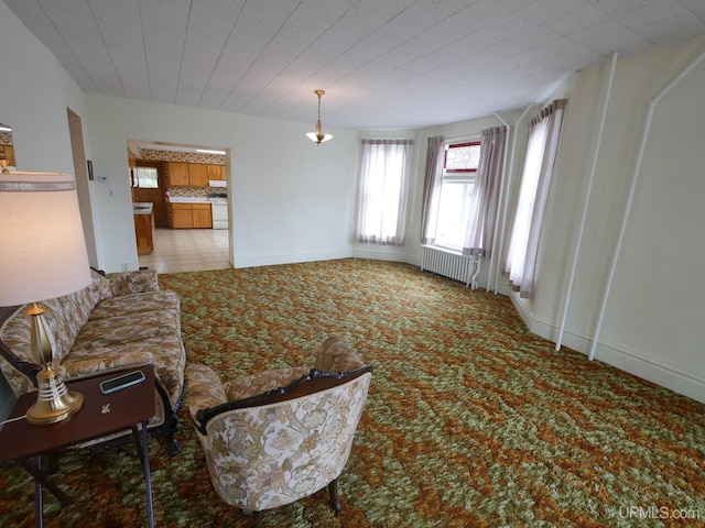 708 Calumet St, Lake Linden, MI 49945 - carpeted living area featuring radiator