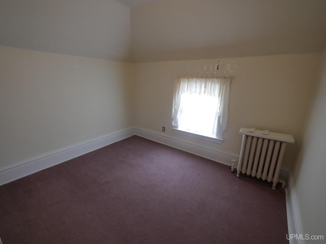 708 Calumet St, Lake Linden, MI 49945 - additional living space with radiator heating unit, carpet flooring, and baseboards