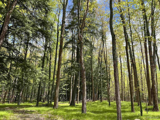 5322 Cross Cut Rd, Florence T-Wi, WI 54121