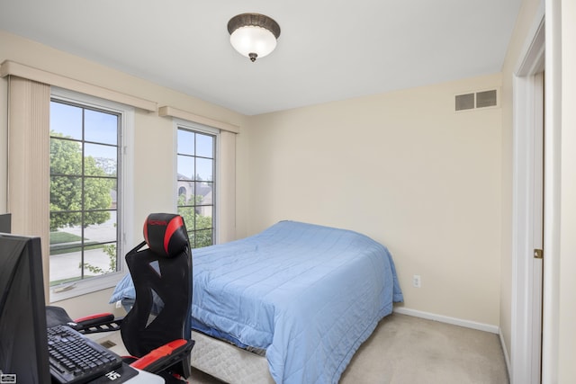 51461 Silver Bell Dr, Macomb Twp, MI 48042 - bedroom with carpet flooring and baseboards