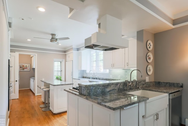 257 Ridge Rd, Grosse Pointe Farms, MI 48236 - kitchen with a sink, ceiling fan, stainless steel dishwasher, white cabinets, and crown molding