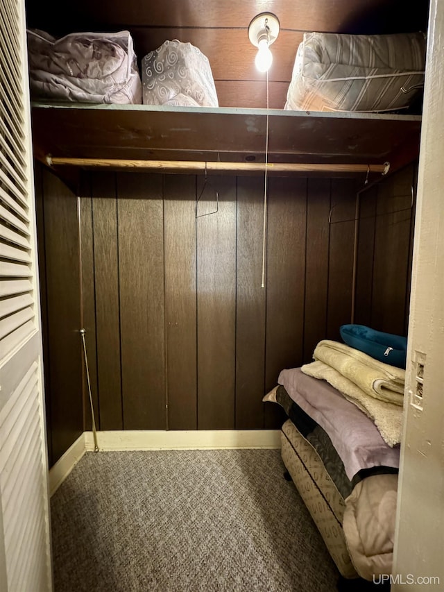 7848 Cole St, Rapid River, MI 49878 - spacious closet with carpet flooring