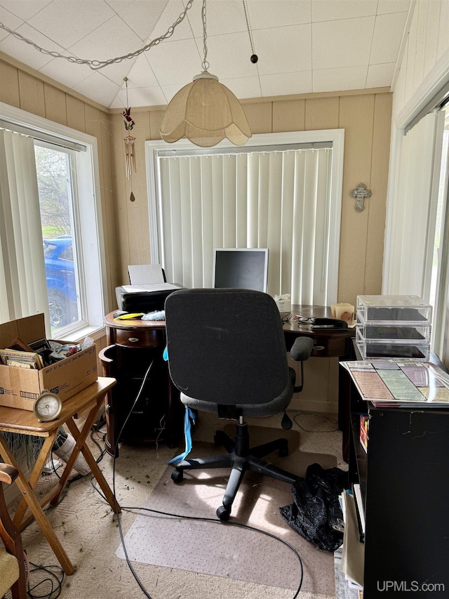 7848 Cole St, Rapid River, MI 49878 - office with wood walls