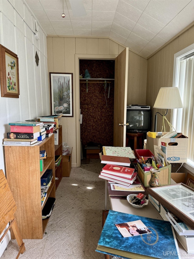 7848 Cole St, Rapid River, MI 49878 - carpeted bedroom featuring lofted ceiling and a closet