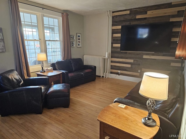 968 Baldwin Ave, Negaunee, MI 49866 - living room with radiator and light wood finished floors