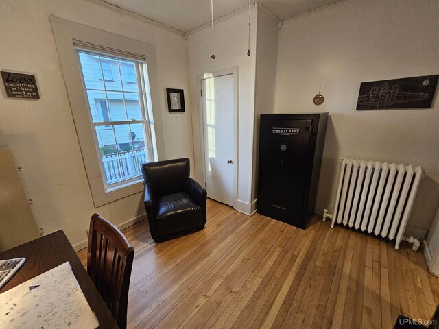 968 Baldwin Ave, Negaunee, MI 49866 - living area featuring radiator heating unit, light wood finished floors, and baseboards
