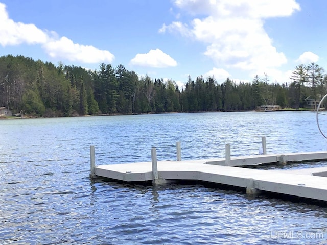 353 S Johnson Lake Dr, Gwinn, MI 49841