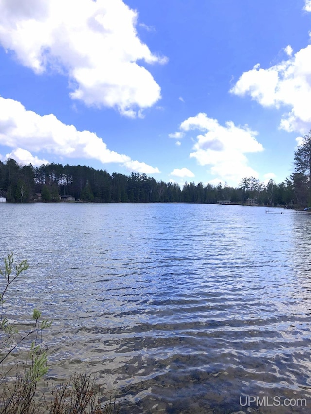 353 S Johnson Lake Dr, Gwinn, MI 49841