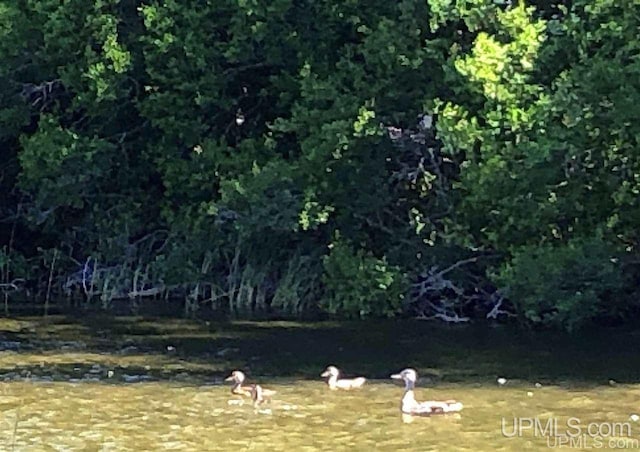 353 S Johnson Lake Dr, Gwinn, MI 49841