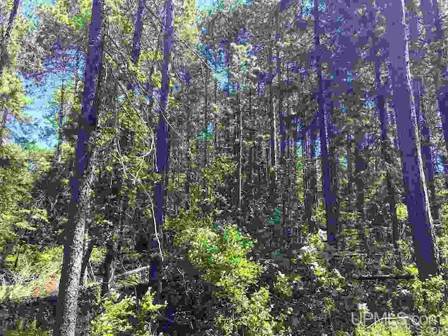 353 S Johnson Lake Dr, Gwinn, MI 49841