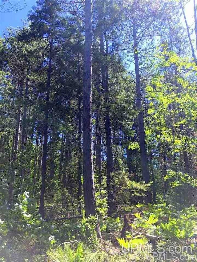 353 S Johnson Lake Dr, Gwinn, MI 49841