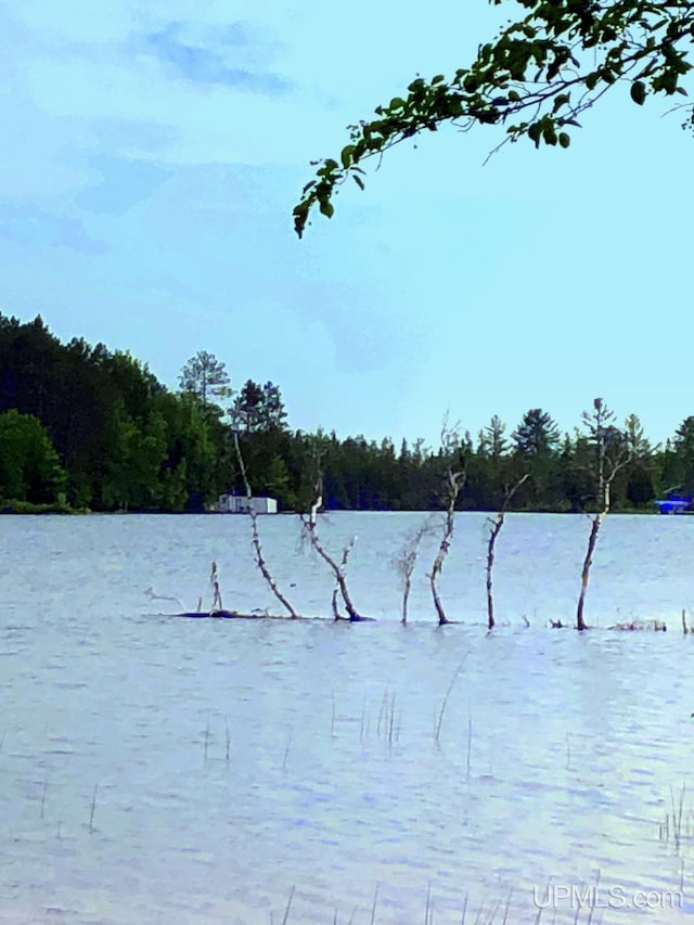353 S Johnson Lake Dr, Gwinn, MI 49841