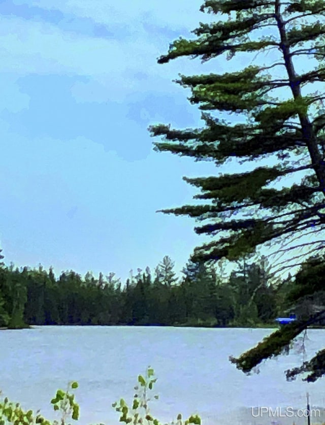 353 S Johnson Lake Dr, Gwinn, MI 49841