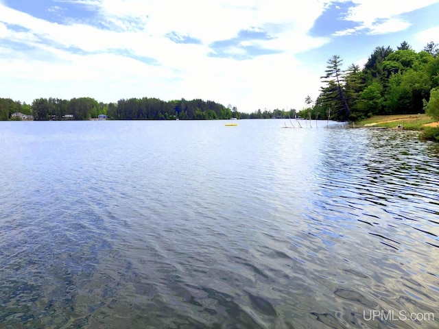 353 S Johnson Lake Dr, Gwinn, MI 49841