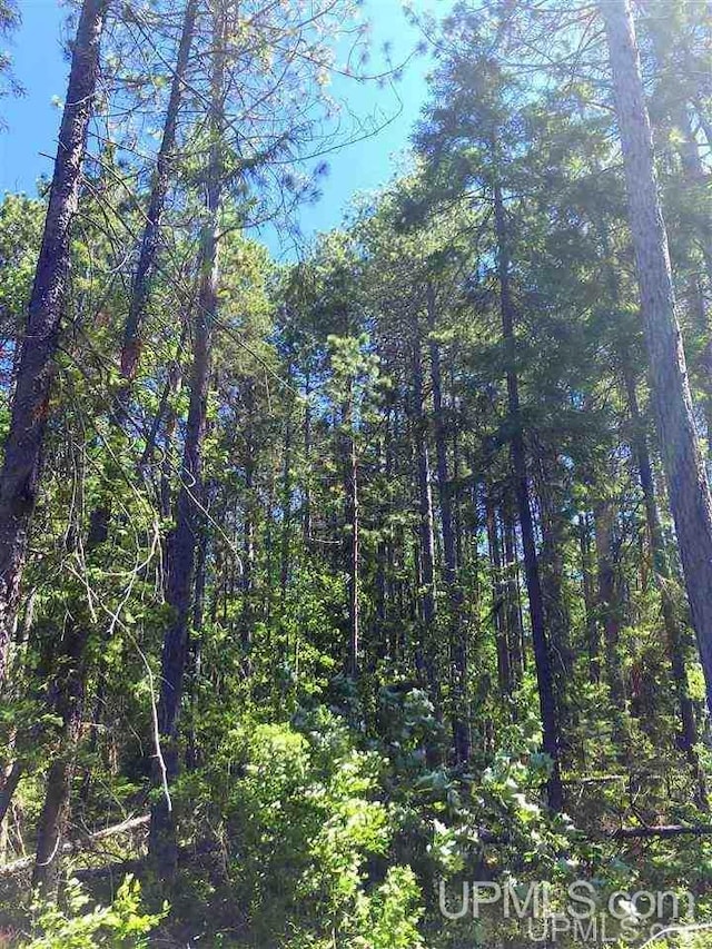 353 S Johnson Lake Dr, Gwinn, MI 49841