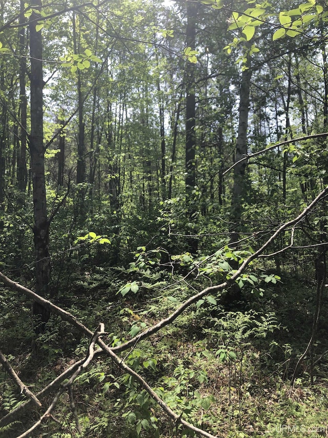 192 W Johnson Lake Rd, Gwinn, MI 49841
