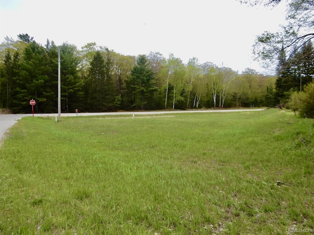 4815 N Southside Rd, Manistique, MI 49854 - view of community with a yard