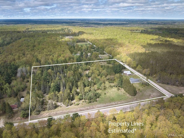 4815 N Southside Rd, Manistique, MI 49854 - aerial view of property's location featuring a forest and property boundaries highlighted