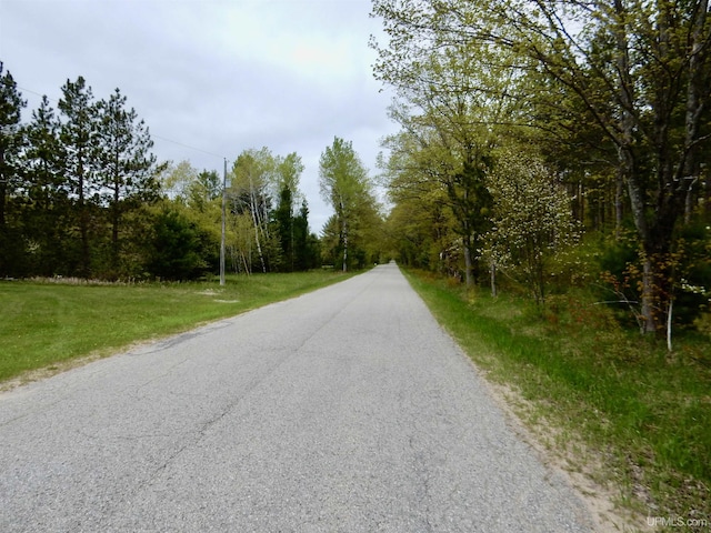 4815 N Southside Rd, Manistique, MI 49854 - view of asphalt street