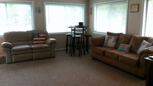 4158 Scott Ct, Gladwin, MI 48624 - living room with carpet and baseboards