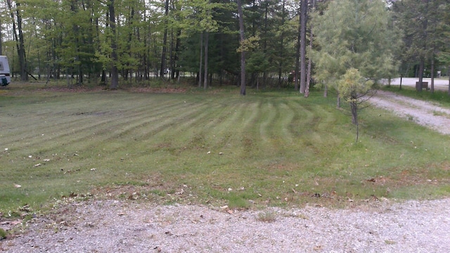 4158 Scott Ct, Gladwin, MI 48624 - view of yard