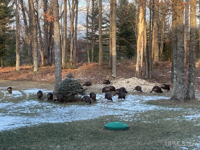 2051 Town Rd M Rd, Florence T-Wi, WI 54121 - view of yard