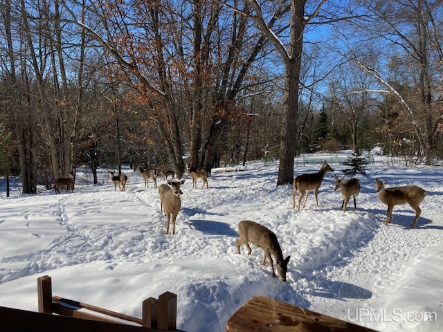2051 Town Rd M Rd, Florence T-Wi, WI 54121 - view of home's community