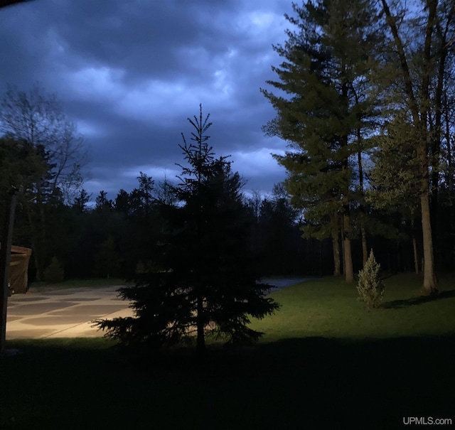 2051 Town Rd M Rd, Florence T-Wi, WI 54121 - view of yard