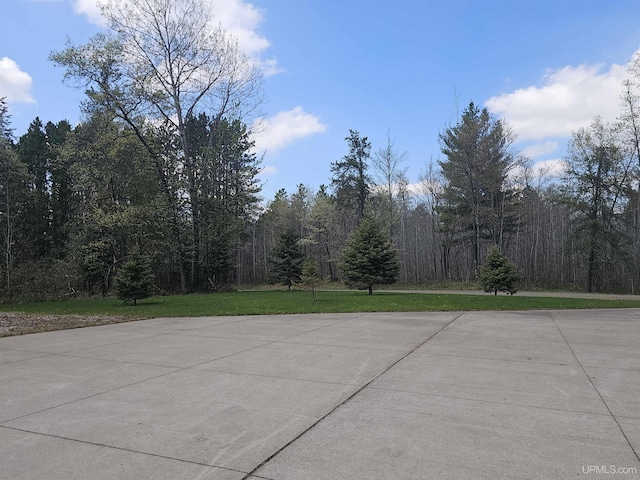 2051 Town Rd M Rd, Florence T-Wi, WI 54121 - view of street featuring a view of trees