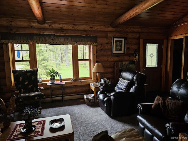 2051 Town Rd M Rd, Florence T-Wi, WI 54121 - carpeted living area with wooden ceiling with exposed beams, healthy amount of natural light, log walls, and a baseboard radiator