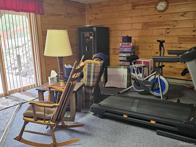 2051 Town Rd M Rd, Florence T-Wi, WI 54121 - workout area featuring healthy amount of natural light, wood walls, and carpet